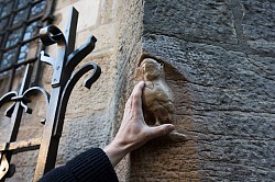 A Dijon, une légende veut que la chouette de l'église Notre Dame porte bonheur. Cet oiseau de bon augure réaliserait le vœu que l'on fait lorsqu'on caresse de la main gauche. L'accès se fait en moins de 10 mn de l'appartement.